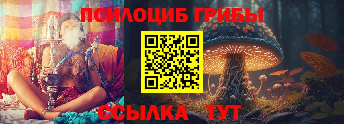 Артёмовский  Галлюциногенные грибы Psilocybine cubensis  Вход с VPN  Псилоцибиновые грибы ЛСД 